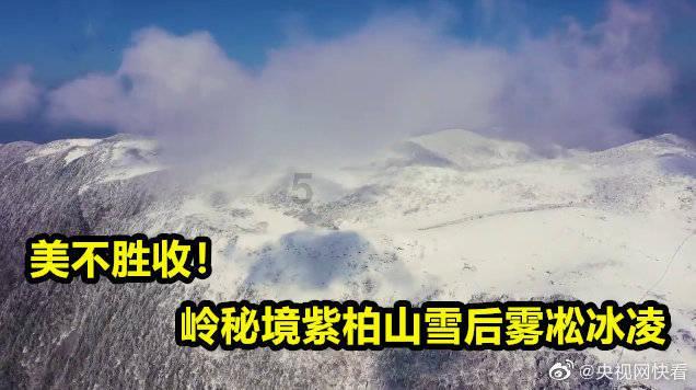 持续推动外贸回稳向好（评论员观察）