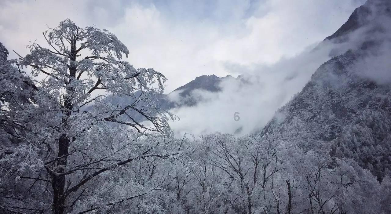 百度又被骂上热搜了