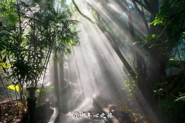 召唤神龙万宁版祖龙