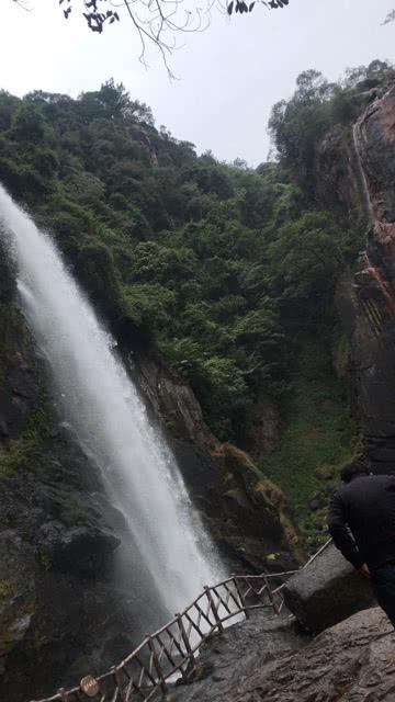 逃离壳牌岛