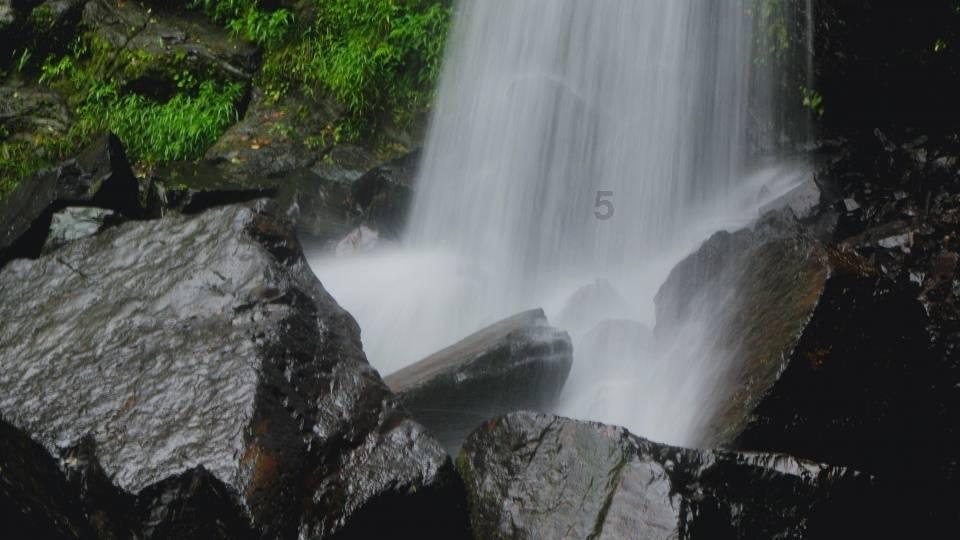 将大通湖区打造成“洞庭虾蟹水草之都”