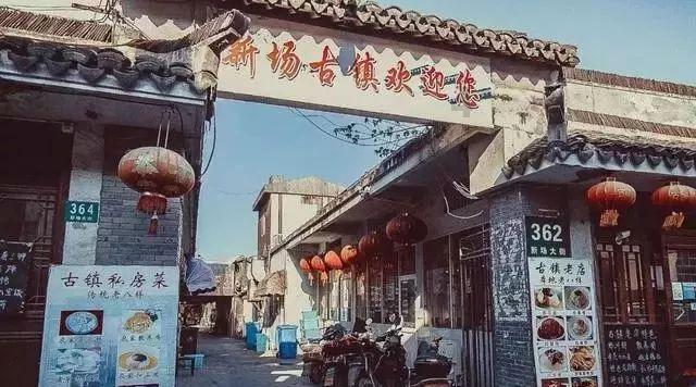 植物大战僵尸12